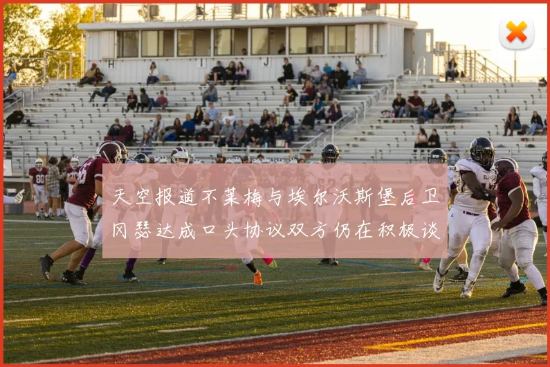 天空报道不莱梅与埃尔沃斯堡后卫冈瑟达成口头协议双方仍在积极谈判中