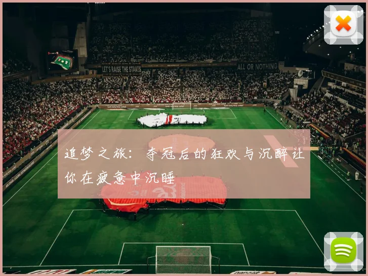 追梦之旅：夺冠后的狂欢与沉醉让你在疲惫中沉睡