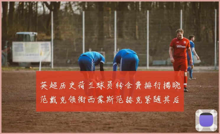 英超历史荷兰球员转会费排行揭晓范戴克领衔西蒙斯范赫克紧随其后